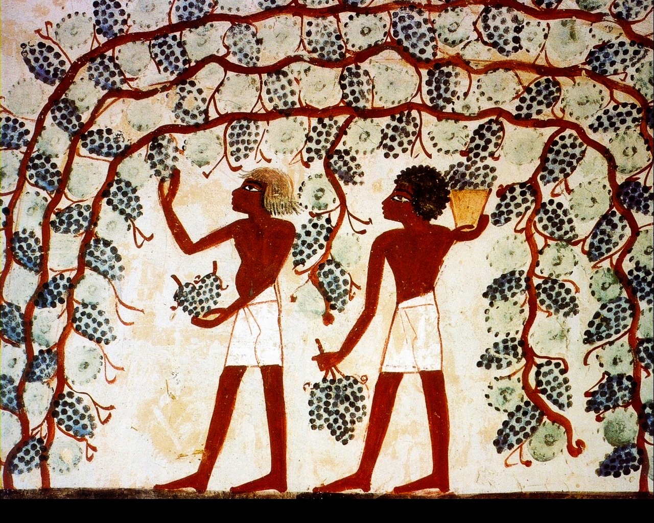 上图:古埃及第十八王朝时期(主前1459-1292年)墓葬壁画(The Theban Tomb TT52)中采收葡萄的场景。许多壁画显示,中王国和新王国时期的古埃及有高度发达的葡萄种植、葡萄园管理以及酿酒技术。