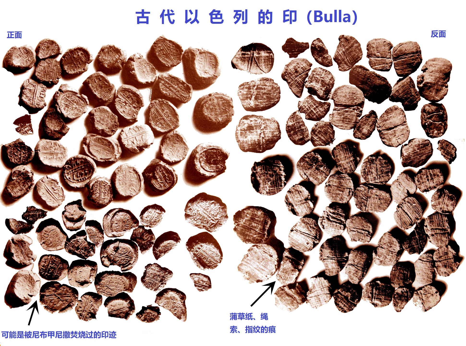上图:以色列博物馆收藏的古代以色列的印(Bulla),这些印是干燥的粘土块,被石头印章压上了文字和图案。古代中东人广泛使用印章作为真迹和权威的标记,用来使文件生效、封缄门户和各种容器。美索不达米亚最普遍的印章形式是圆筒印章,但以色列则以平面印章较为常见。